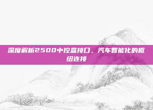 深度解析2500中控盒接口,汽车智能化的枢纽连接