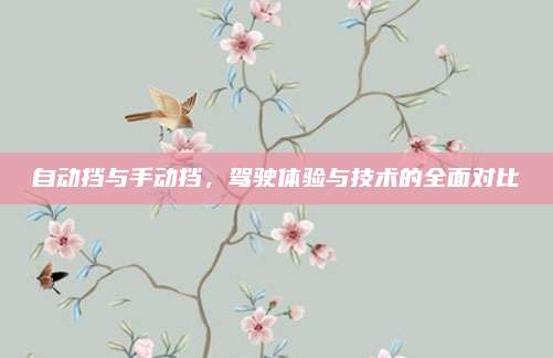 自动挡与手动挡,驾驶体验与技术的全面对比
