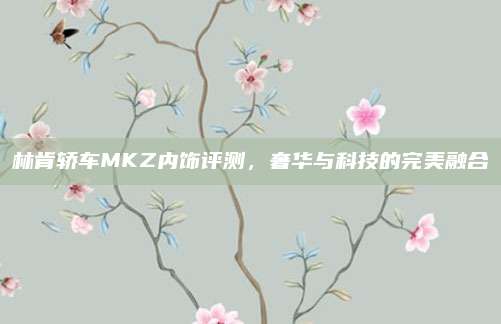 林肯轿车MKZ内饰评测,奢华与科技的完美融合