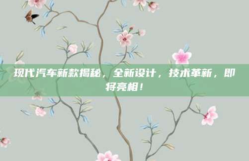 现代汽车新款揭秘,全新设计,技术革新,即将亮相!