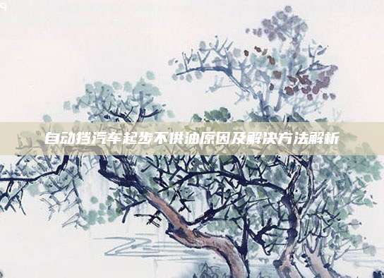自动挡汽车起步不供油原因及解决方法解析
