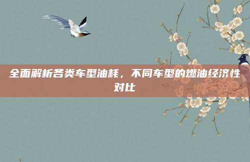 全面解析各类车型油耗,不同车型的燃油经济性对比