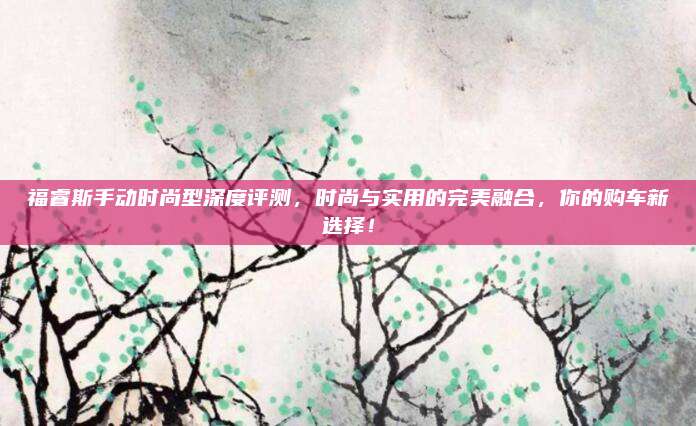 福睿斯手动时尚型深度评测,时尚与实用的完美融合,你的购车新选择!