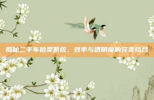 揭秘二手车拍卖系统,效率与透明度的完美结合