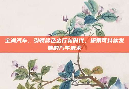 宝湖汽车，引领绿色出行新时代，探索可持续发展的汽车未来