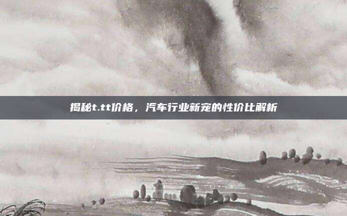 揭秘t.tt价格，汽车行业新宠的性价比解析
