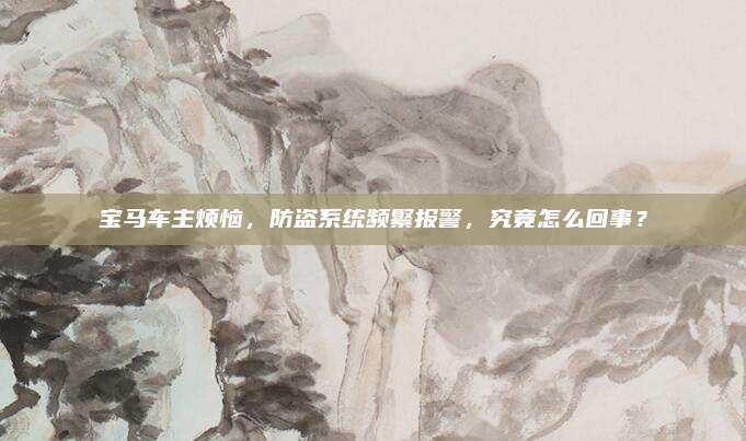 宝马车主烦恼,防盗系统频繁报警,究竟怎么回事?