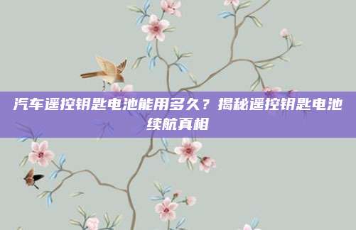 汽车遥控钥匙电池能用多久?揭秘遥控钥匙电池续航真相