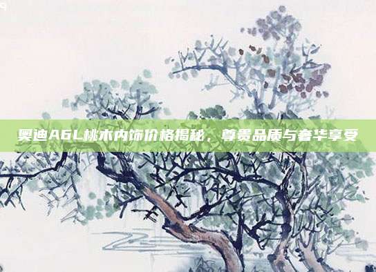 奥迪A6L桃木内饰价格揭秘，尊贵品质与奢华享受