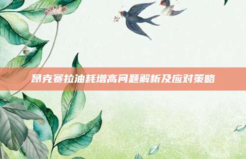昂克赛拉油耗增高问题解析及应对策略