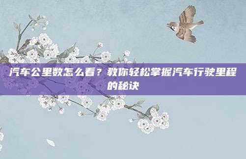 汽车公里数怎么看?教你轻松掌握汽车行驶里程的秘诀