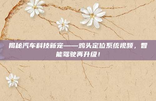 揭秘汽车科技新宠——鸡头定位系统视频，智能驾驶再升级！
