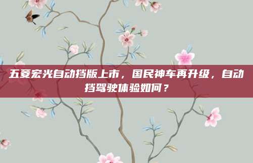 五菱宏光自动挡版上市，国民神车再升级，自动挡驾驶体验如何？