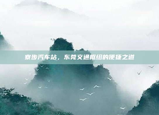 寮步汽车站,东莞交通枢纽的便捷之道