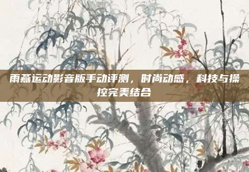 雨燕运动影音版手动评测，时尚动感，科技与操控完美结合