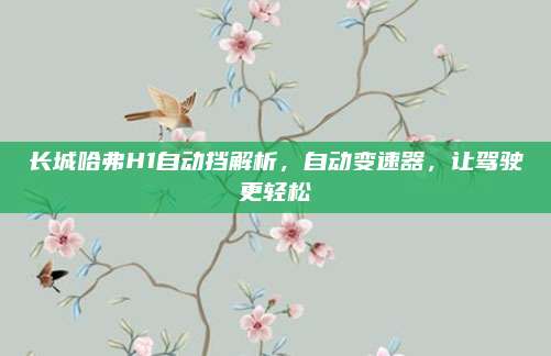 长城哈弗H1自动挡解析,自动变速器,让驾驶更轻松