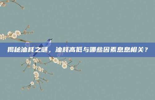 揭秘油耗之谜，油耗高低与哪些因素息息相关？