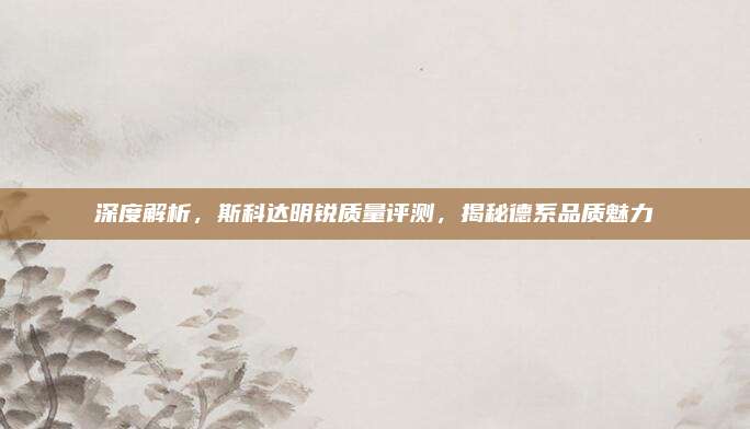 深度解析,斯科达明锐质量评测,揭秘德系品质魅力