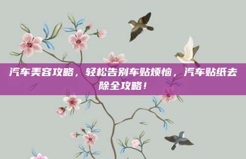 汽车美容攻略,轻松告别车贴烦恼,汽车贴纸去除全攻略!