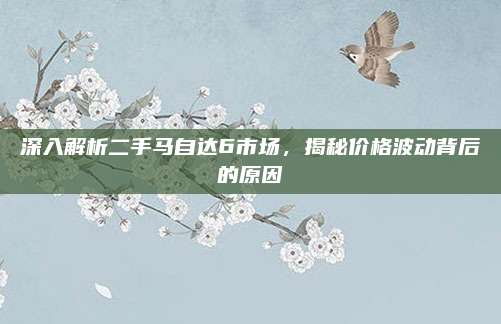 深入解析二手马自达6市场,揭秘价格波动背后的原因