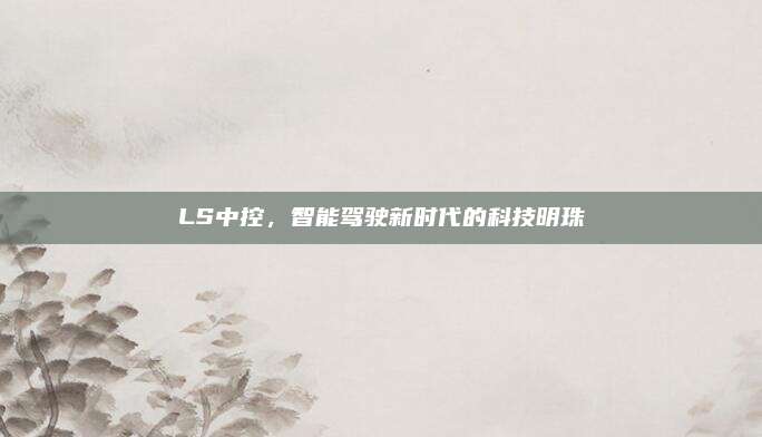 LS中控,智能驾驶新时代的科技明珠