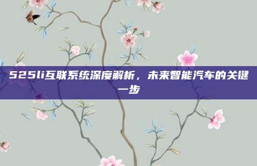 525li互联系统深度解析,未来智能汽车的关键一步