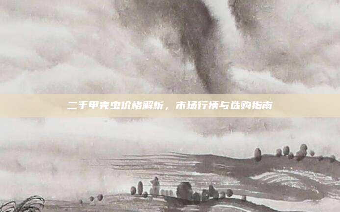 二手甲壳虫价格解析,市场行情与选购指南