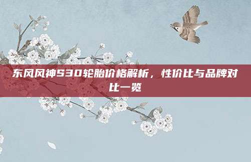 东风风神S30轮胎价格解析,性价比与品牌对比一览