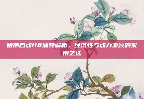 哈佛自动H6油耗解析,经济性与动力兼顾的家用之选