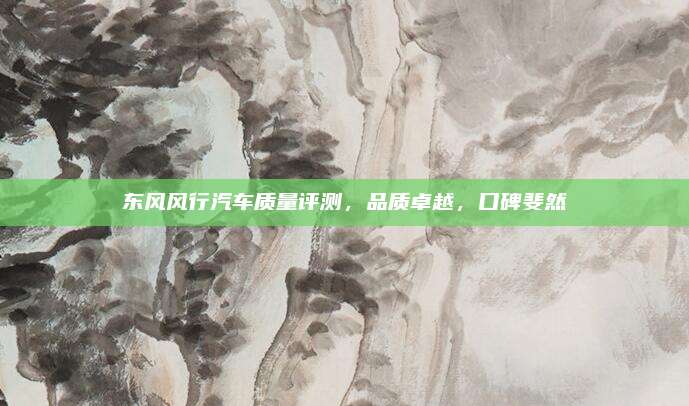 东风风行汽车质量评测,品质卓越,口碑斐然