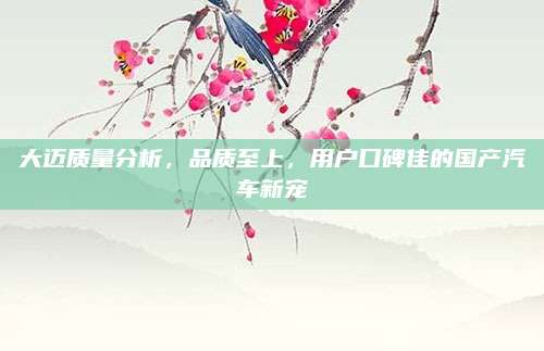 大迈质量分析，品质至上，用户口碑佳的国产汽车新宠