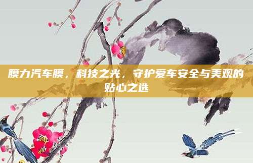 膜力汽车膜,科技之光,守护爱车安全与美观的贴心之选