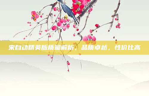 宋自动精英版质量解析,品质卓越,性价比高