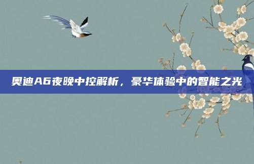 奥迪A6夜晚中控解析,豪华体验中的智能之光