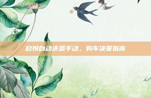 启悦自动还是手动,购车决策指南
