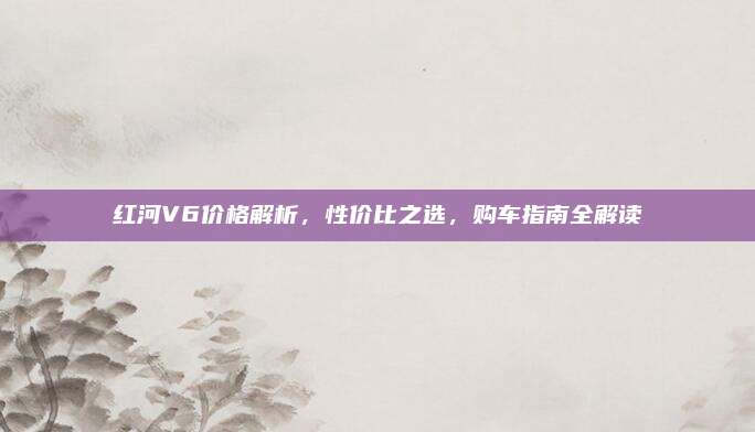 红河V6价格解析，性价比之选，购车指南全解读