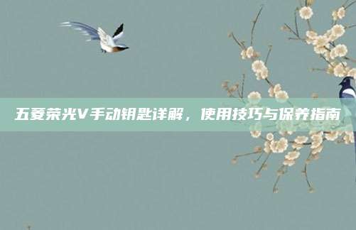 五菱荣光V手动钥匙详解,使用技巧与保养指南
