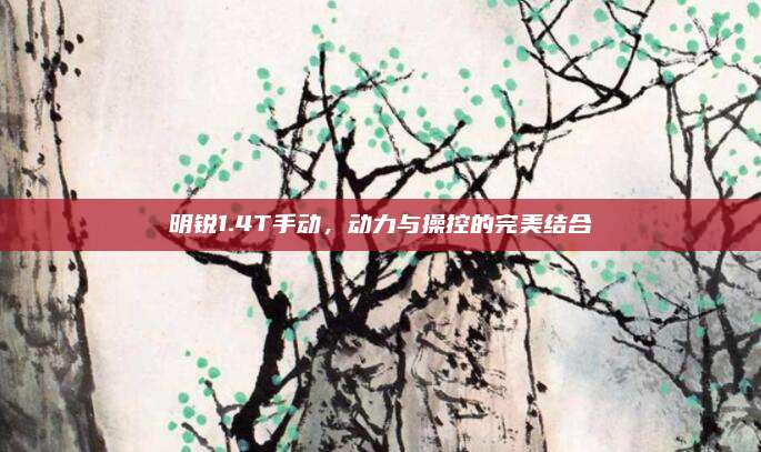 明锐1.4T手动，动力与操控的完美结合