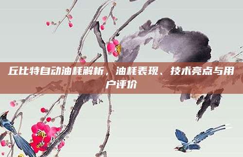 丘比特自动油耗解析,油耗表现、技术亮点与用户评价