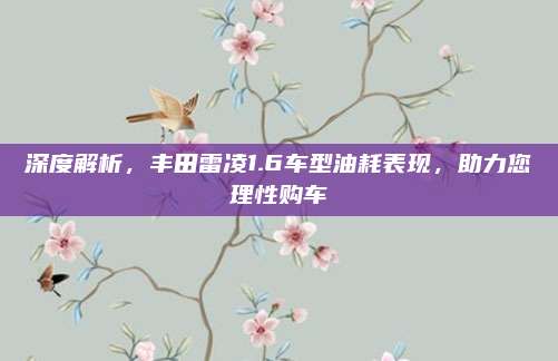 深度解析，丰田雷凌1.6车型油耗表现，助力您理性购车