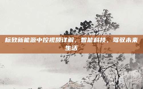 标致新能源中控视频详解，智能科技，驾驭未来生活
