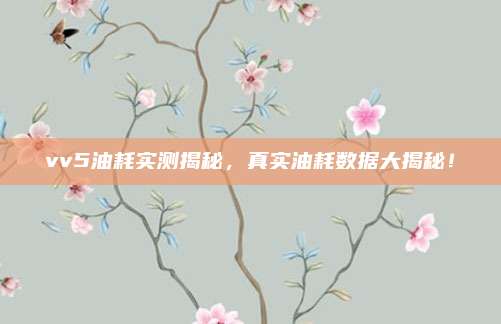 vv5油耗实测揭秘,真实油耗数据大揭秘!