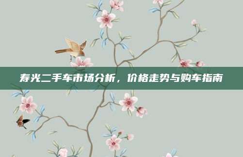寿光二手车市场分析,价格走势与购车指南