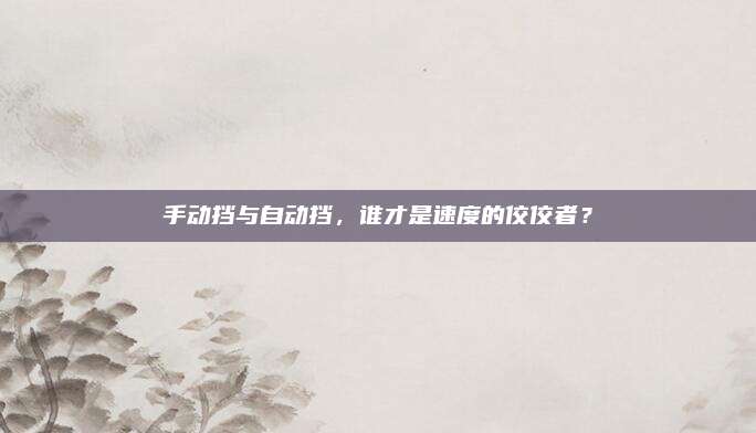手动挡与自动挡，谁才是速度的佼佼者？