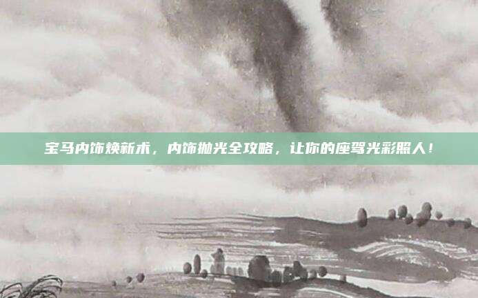 宝马内饰焕新术,内饰抛光全攻略,让你的座驾光彩照人!
