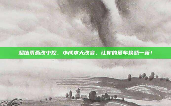 超值雨燕改中控，小成本大改变，让你的爱车焕然一新！