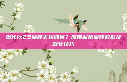 现代ix25油耗表现如何?深度解析油耗数据及驾驶技巧