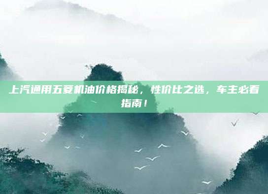 上汽通用五菱机油价格揭秘,性价比之选,车主必看指南!