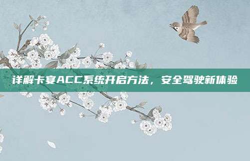 详解卡宴ACC系统开启方法,安全驾驶新体验