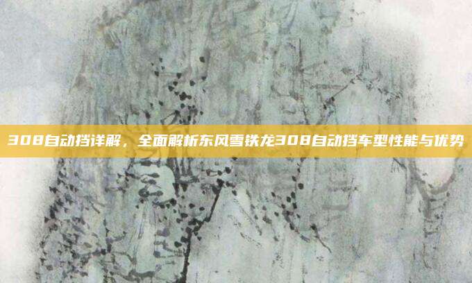 308自动挡详解,全面解析东风雪铁龙308自动挡车型性能与优势